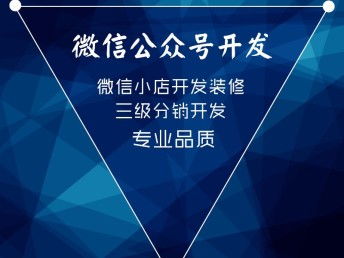 深圳网站建设 企业数字化转型的可靠伙伴